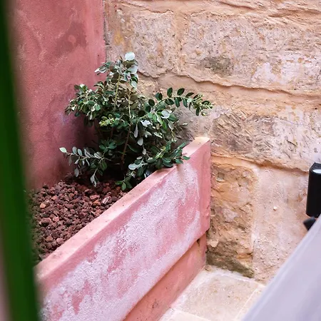 With Lush Yard - Lejlighed Valletta