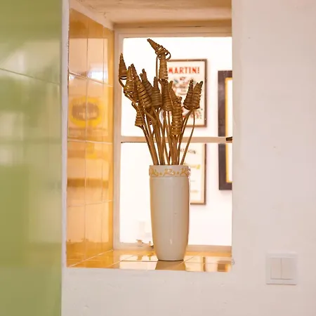 With Lush Yard - アパート