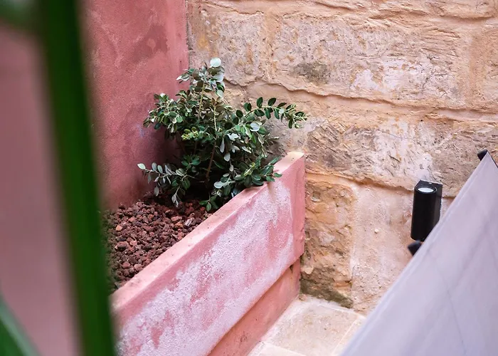 With Lush Yard - Apartment Valletta